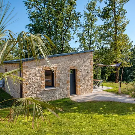 Le Pech Eternel - Cedres *