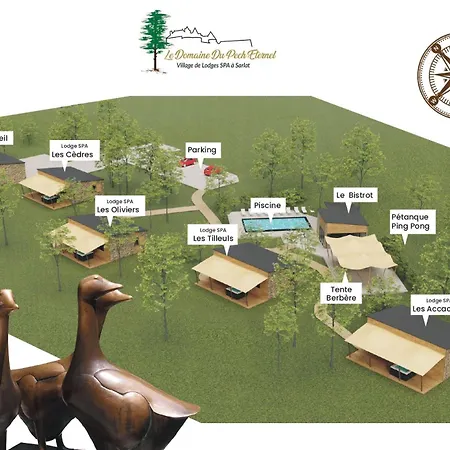 Le Pech Eternel - Cedres *