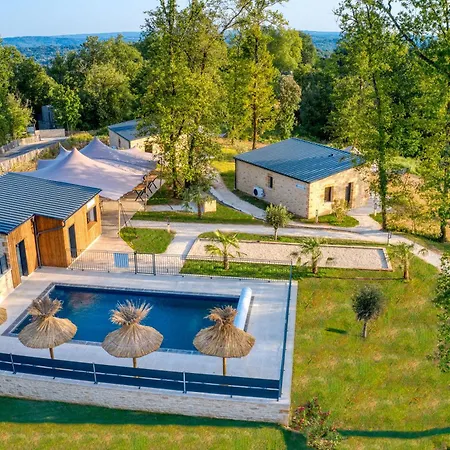 Le Pech Eternel - Cedres *