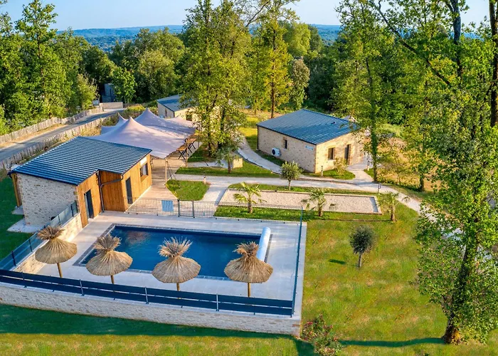 Le Pech Eternel - Cedres *